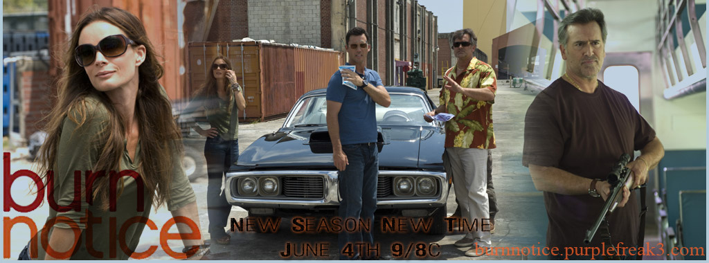 Burn Notice Banner