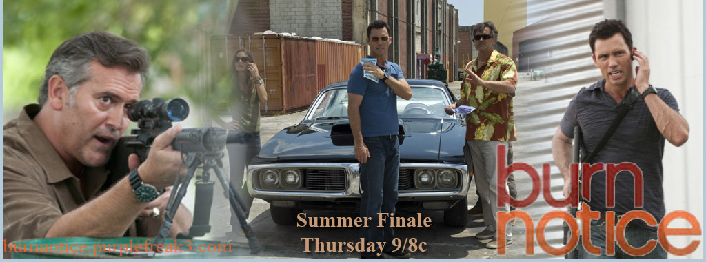 Burn Notice Season 3 summer finale Banner 