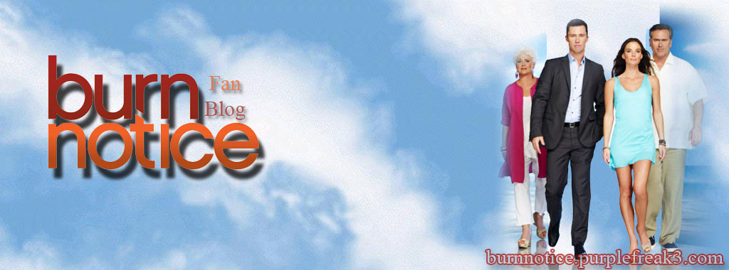 Burn Notice Season 4 Banner 