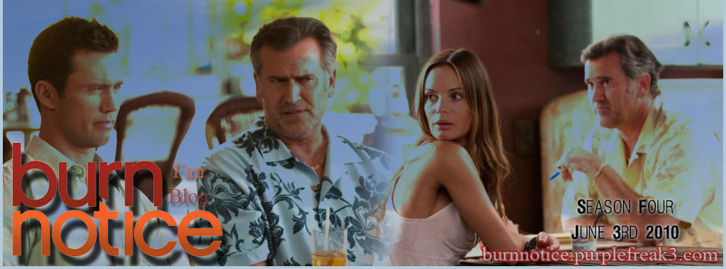 Burn Notice New episodes 2010 Banner 